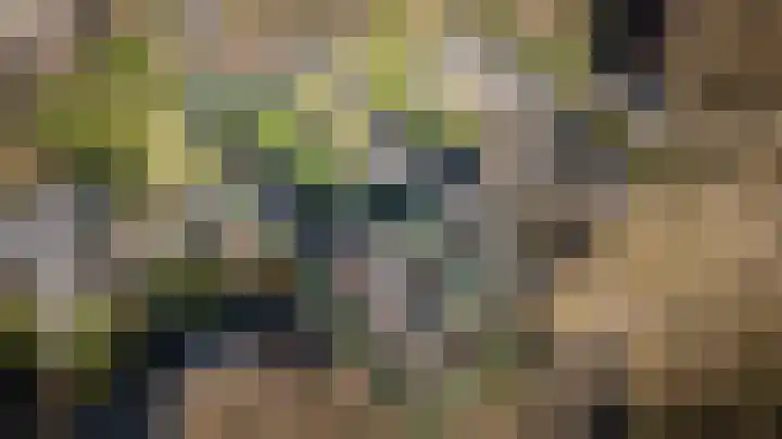 Haverkampsweg 23 Epe thumbnail 41