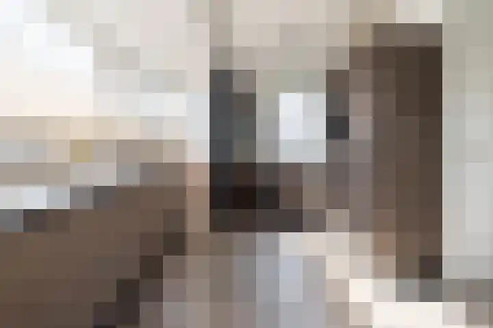 Haverkampsweg 23 Epe thumbnail 8