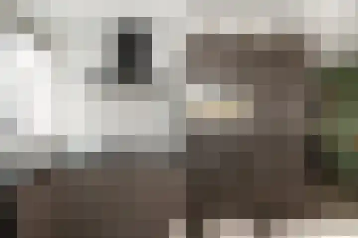 Haverkampsweg 23 Epe thumbnail 9