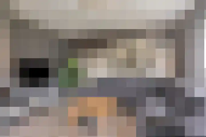 Haverkampsweg 35 Epe thumbnail 10