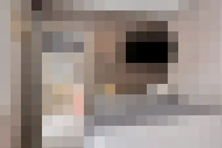 Haverkampsweg 35 Epe thumbnail 17