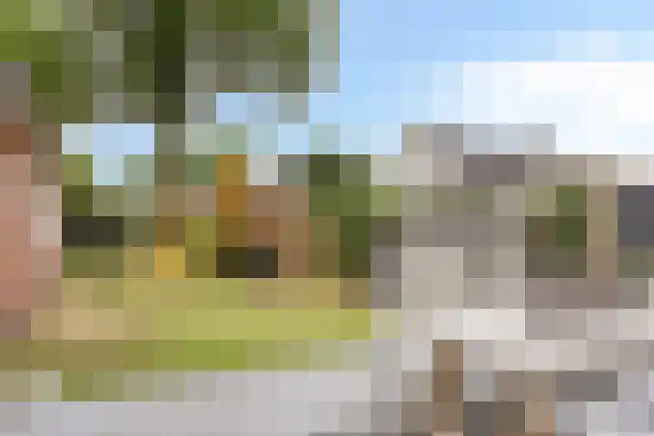 Haverkampsweg 35 Epe thumbnail 36