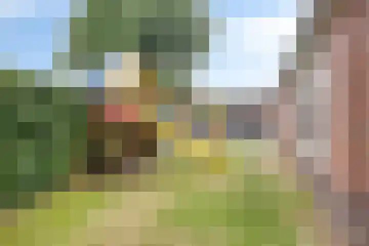 Haverkampsweg 35 Epe thumbnail 37