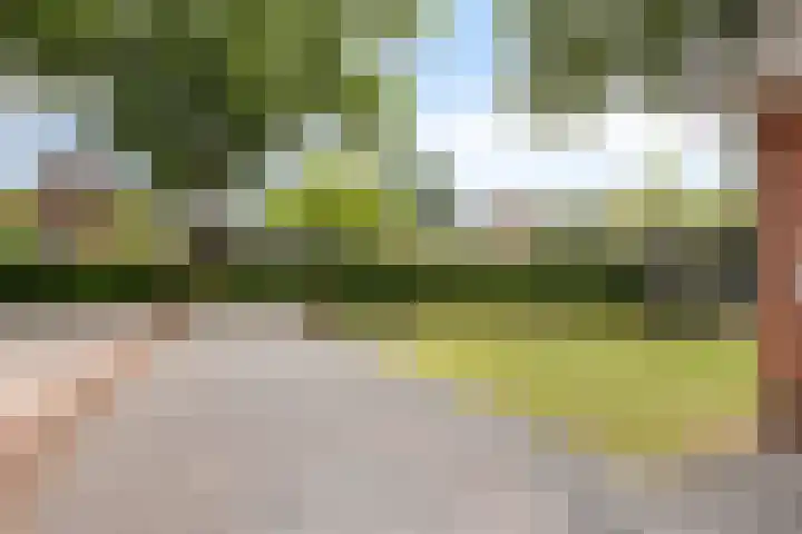 Haverkampsweg 35 Epe thumbnail 43