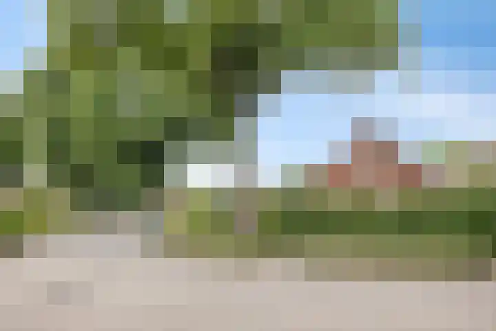 Haverkampsweg 35 Epe thumbnail 44