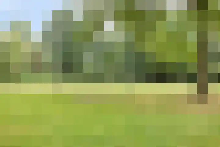 Haverkampsweg 35 Epe thumbnail 45