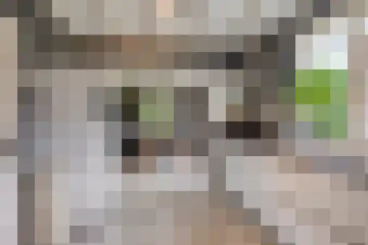 Haverkampsweg 35 Epe thumbnail 7