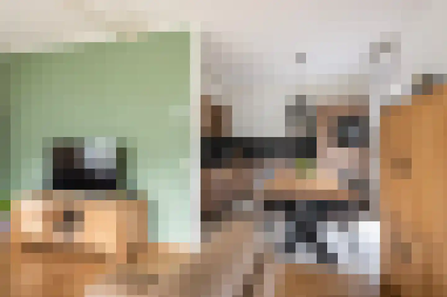 Haverkampsweg 9 Epe thumbnail 10