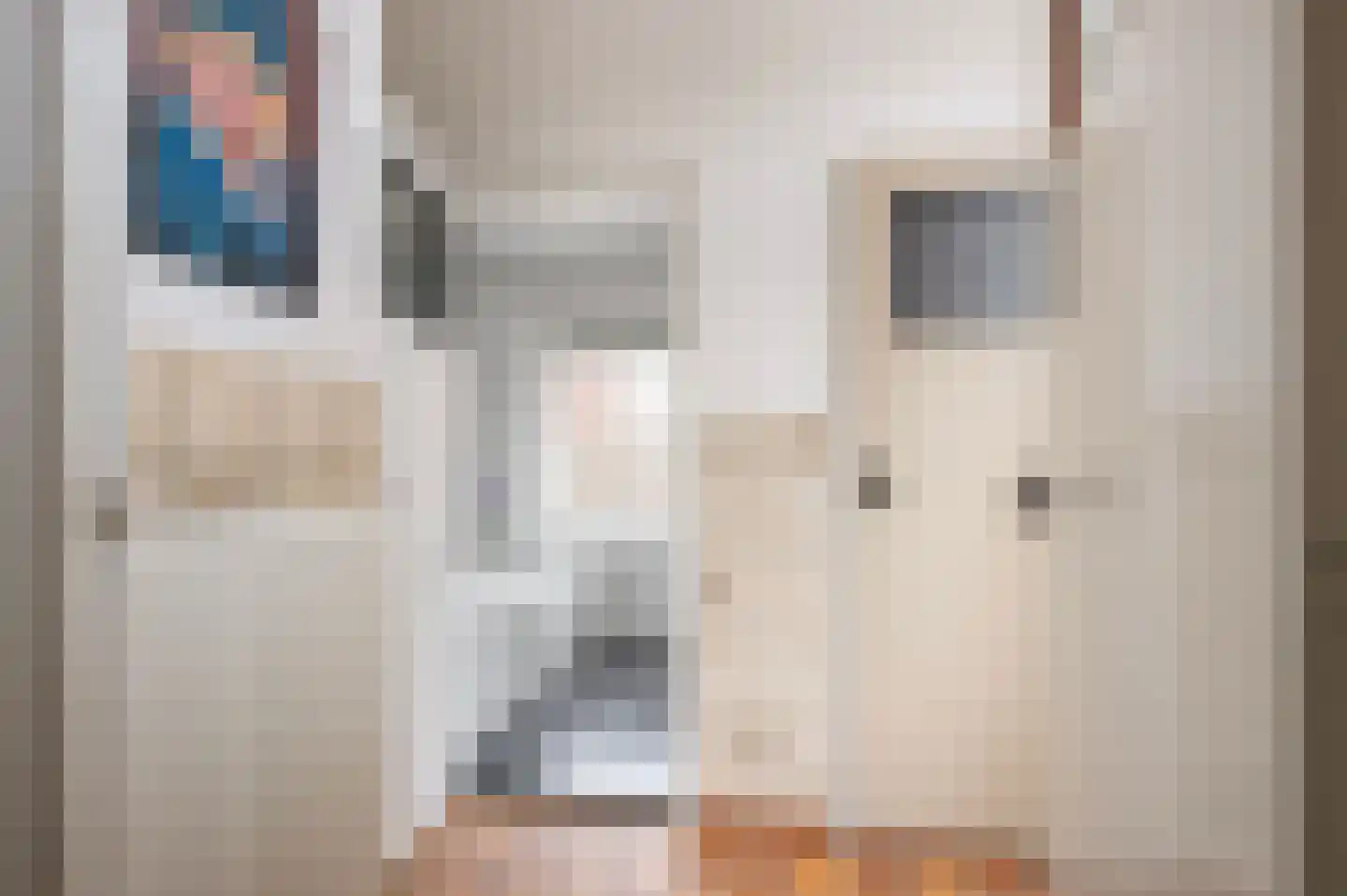Haverkampsweg 9 Epe thumbnail 13