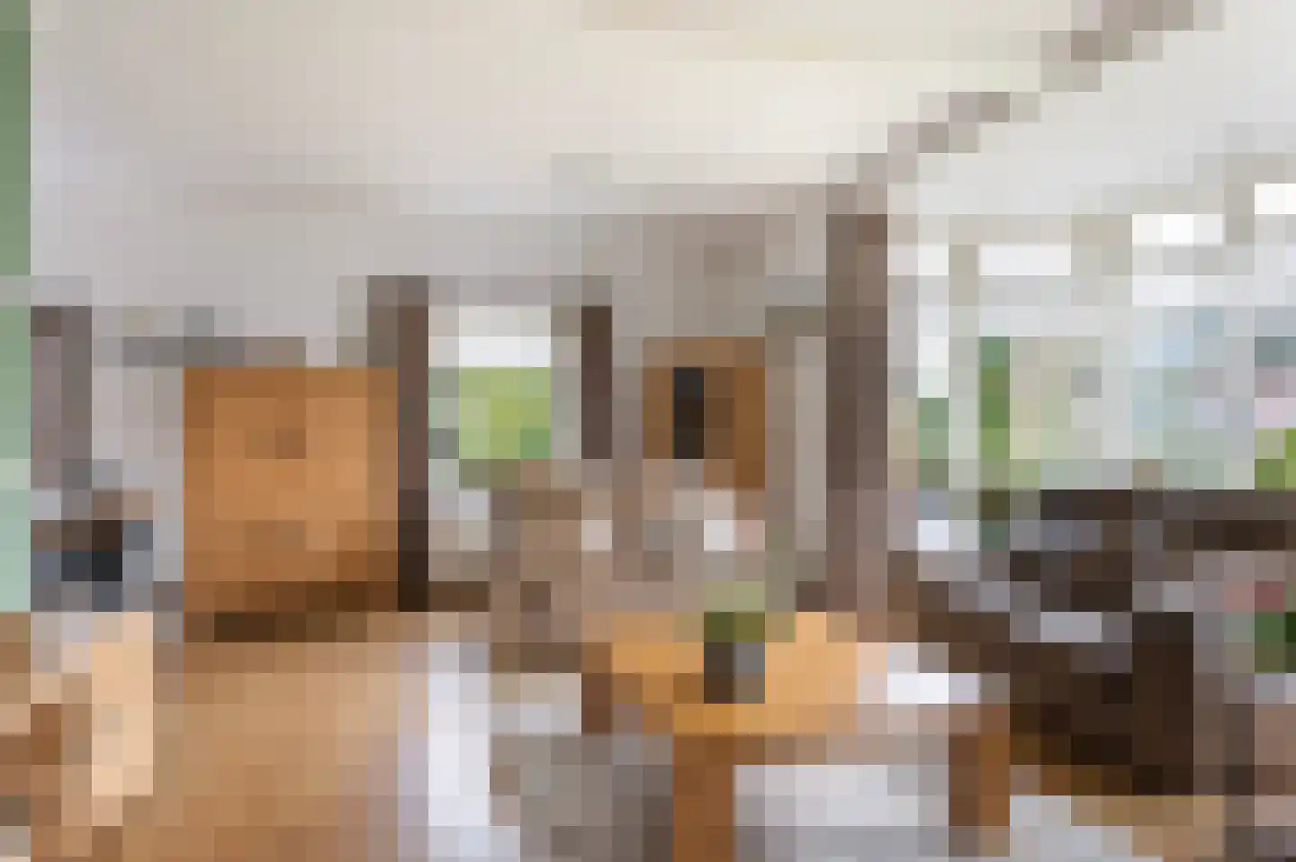Haverkampsweg 9 Epe thumbnail 7