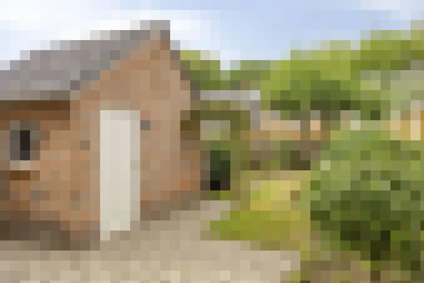 Haverkampweg 6 't Harde thumbnail 20