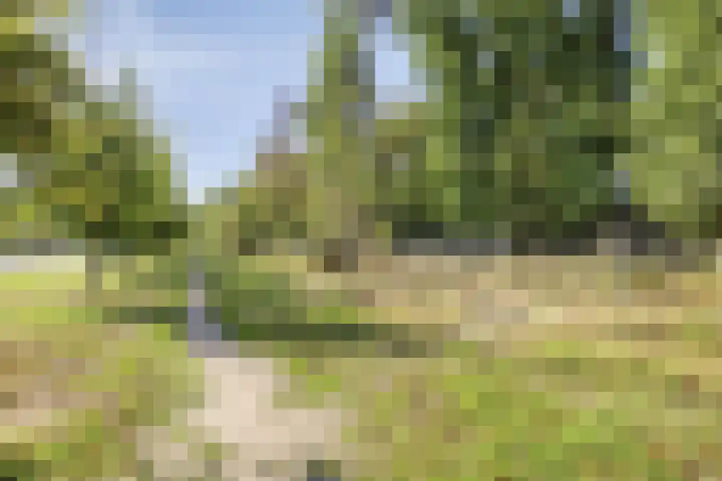 Haverkampweg 6 't Harde thumbnail 25