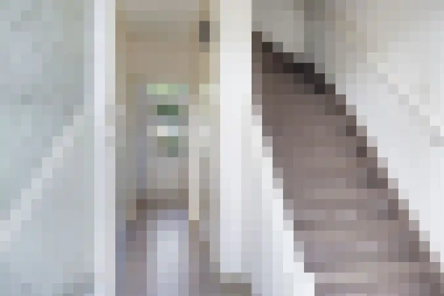 Haverkampweg 6 't Harde thumbnail 5