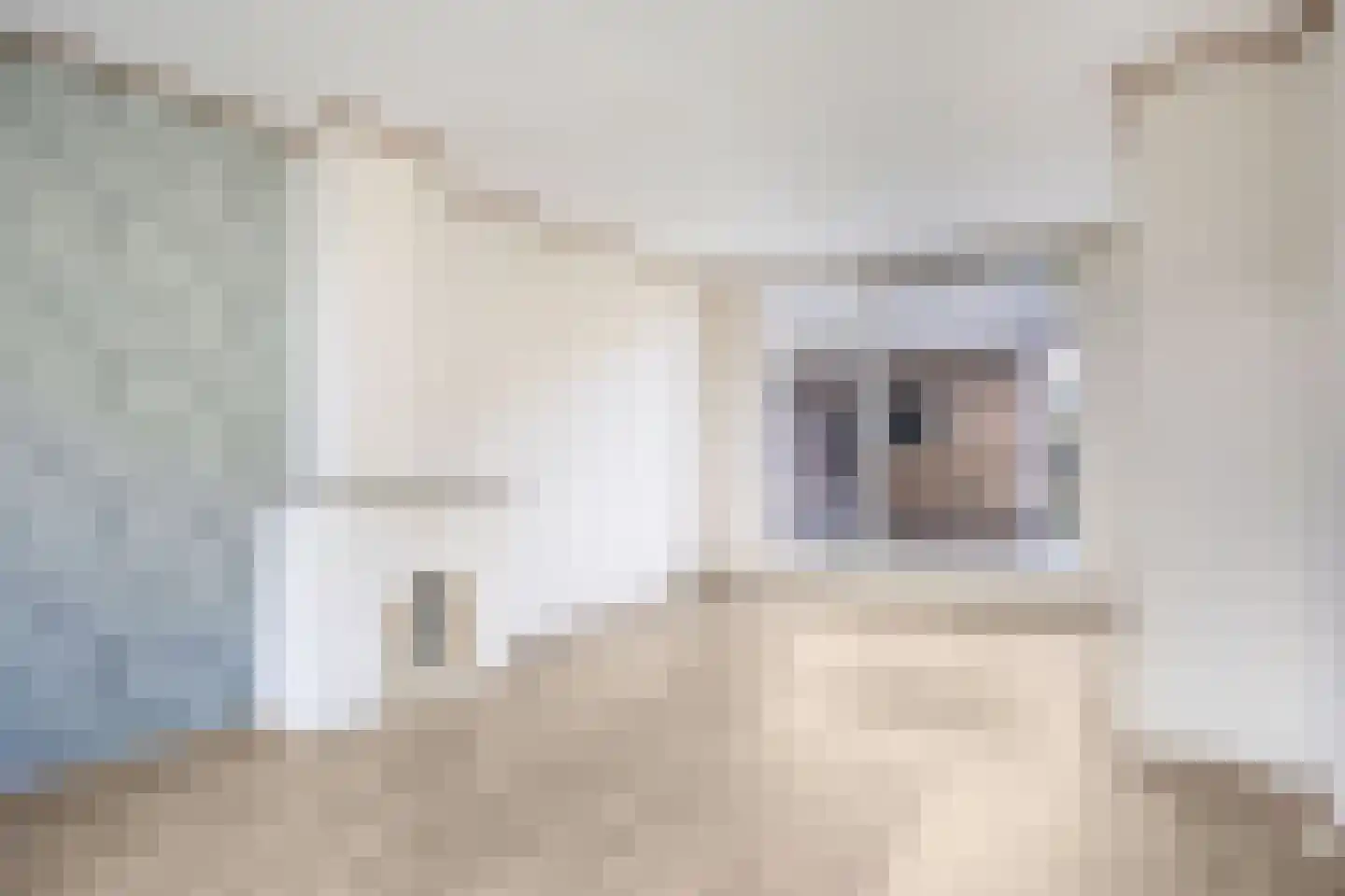Haverkampweg 6 't Harde thumbnail 6