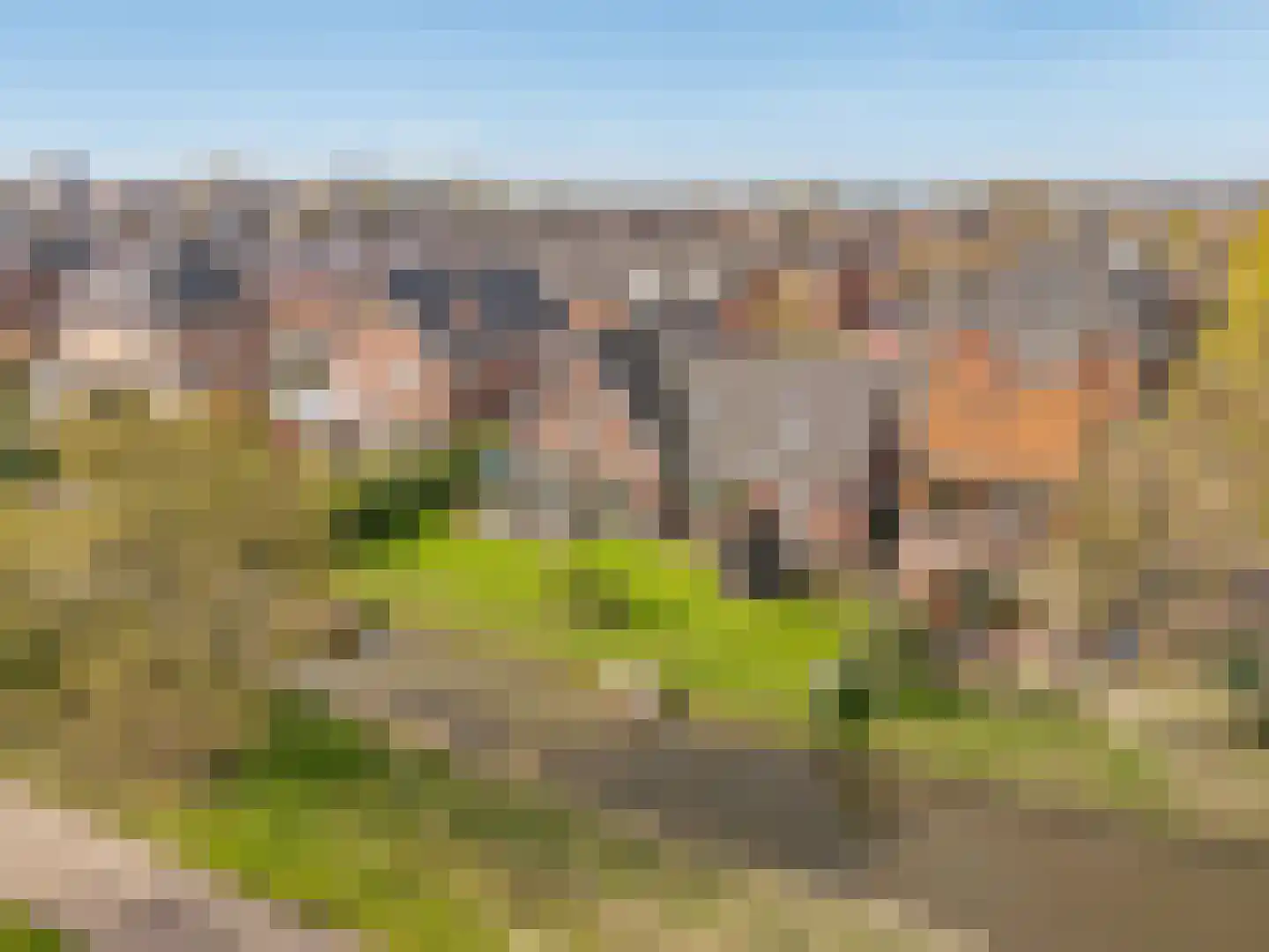 Haverland 23 Den Hoorn thumbnail 4