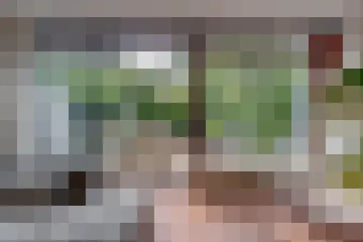 Haverland 33 Leusden thumbnail 13