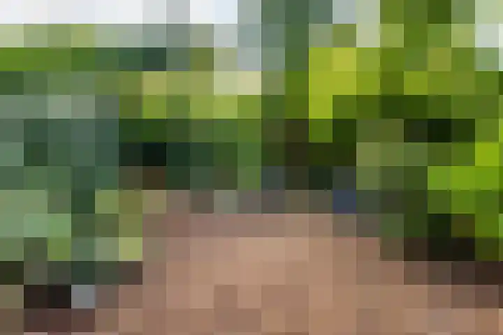 Haverland 33 Leusden thumbnail 38