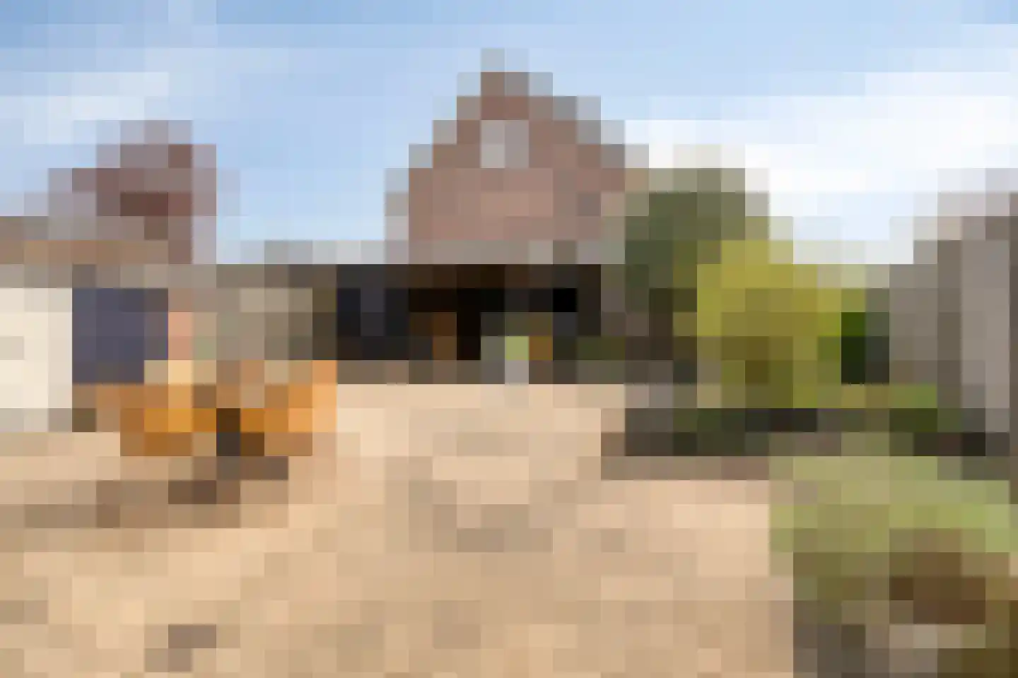 Haverland 33 Leusden thumbnail 5
