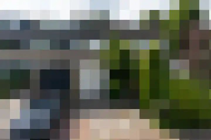 Haverland 33 Leusden thumbnail 5