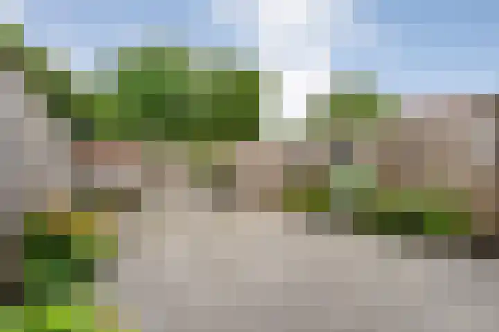 Haverland 33 Leusden thumbnail 9