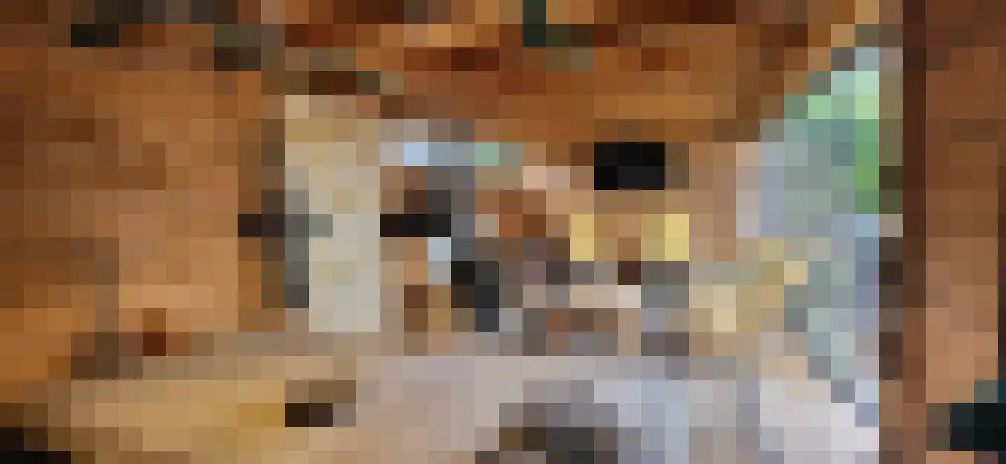 Haverland 6 Leusden thumbnail 23