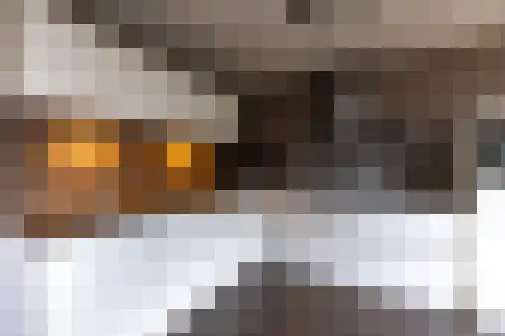 Haverlanden 25 Eext thumbnail 17