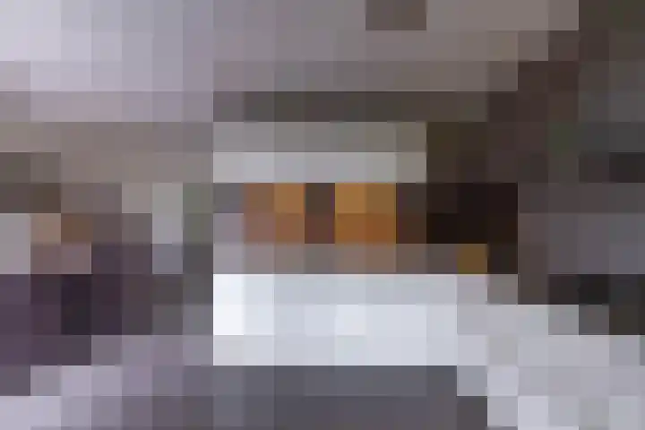 Haverlanden 25 Eext thumbnail 18