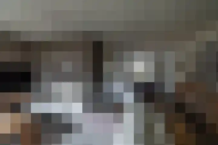Haverlanden 25 Eext thumbnail 22
