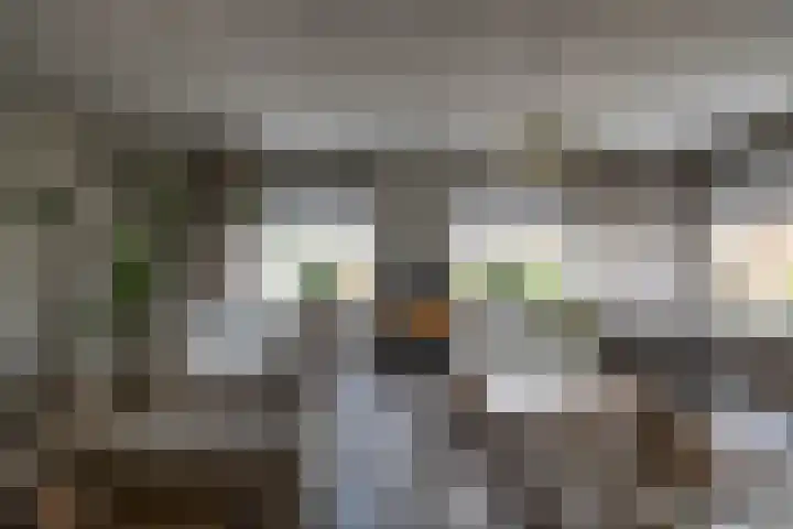 Haverlanden 25 Eext thumbnail 24
