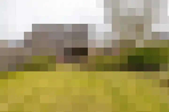 Haverlanden 25 Eext thumbnail 43