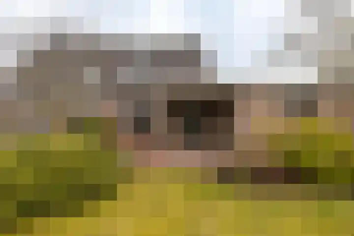 Haverlanden 25 Eext thumbnail 44