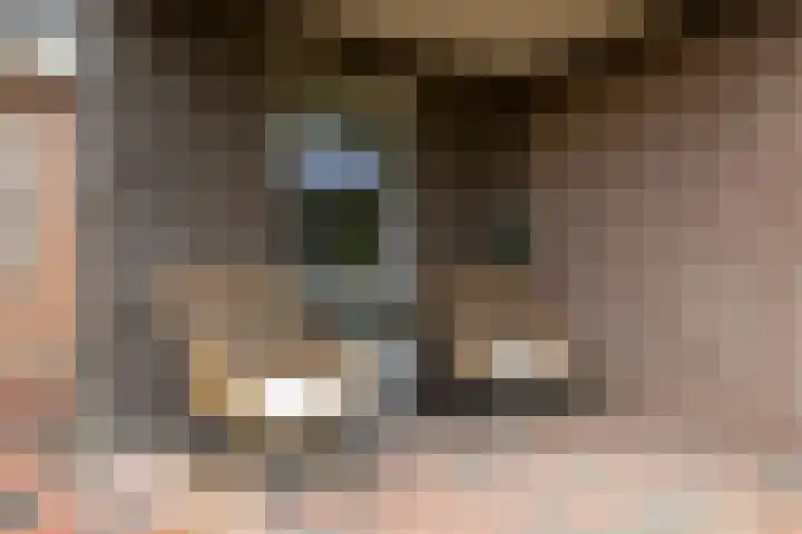 Haverlanden 25 Eext thumbnail 47