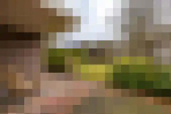 Haverlanden 25 Eext thumbnail 48