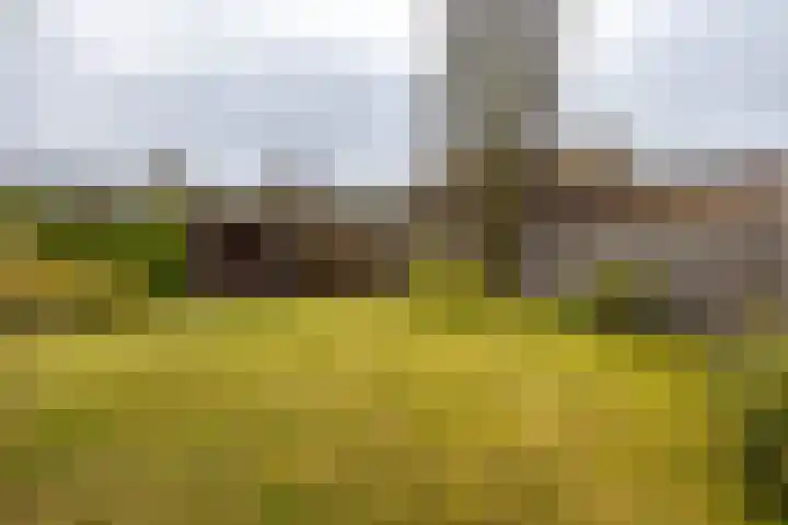 Haverlanden 25 Eext thumbnail 49