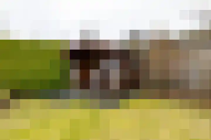 Haverlanden 25 Eext thumbnail 50