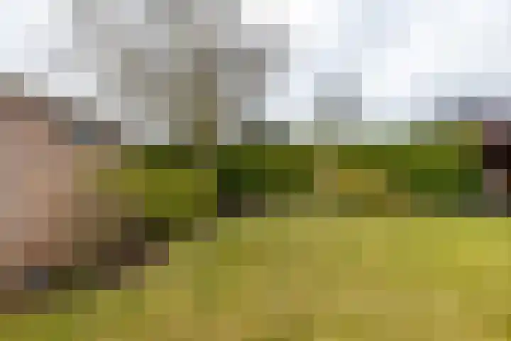 Haverlanden 25 Eext thumbnail 51