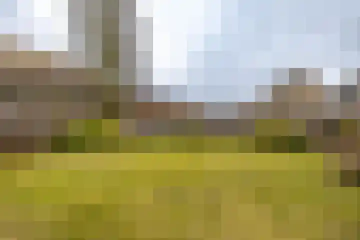 Haverlanden 25 Eext thumbnail 52