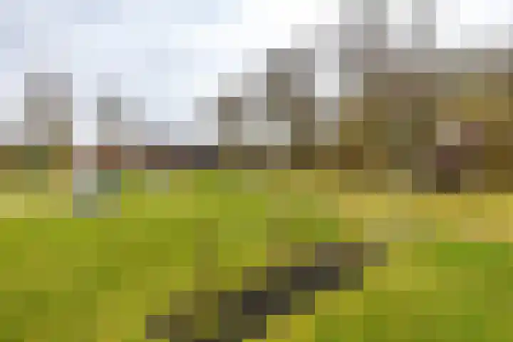 Haverlanden 25 Eext thumbnail 53