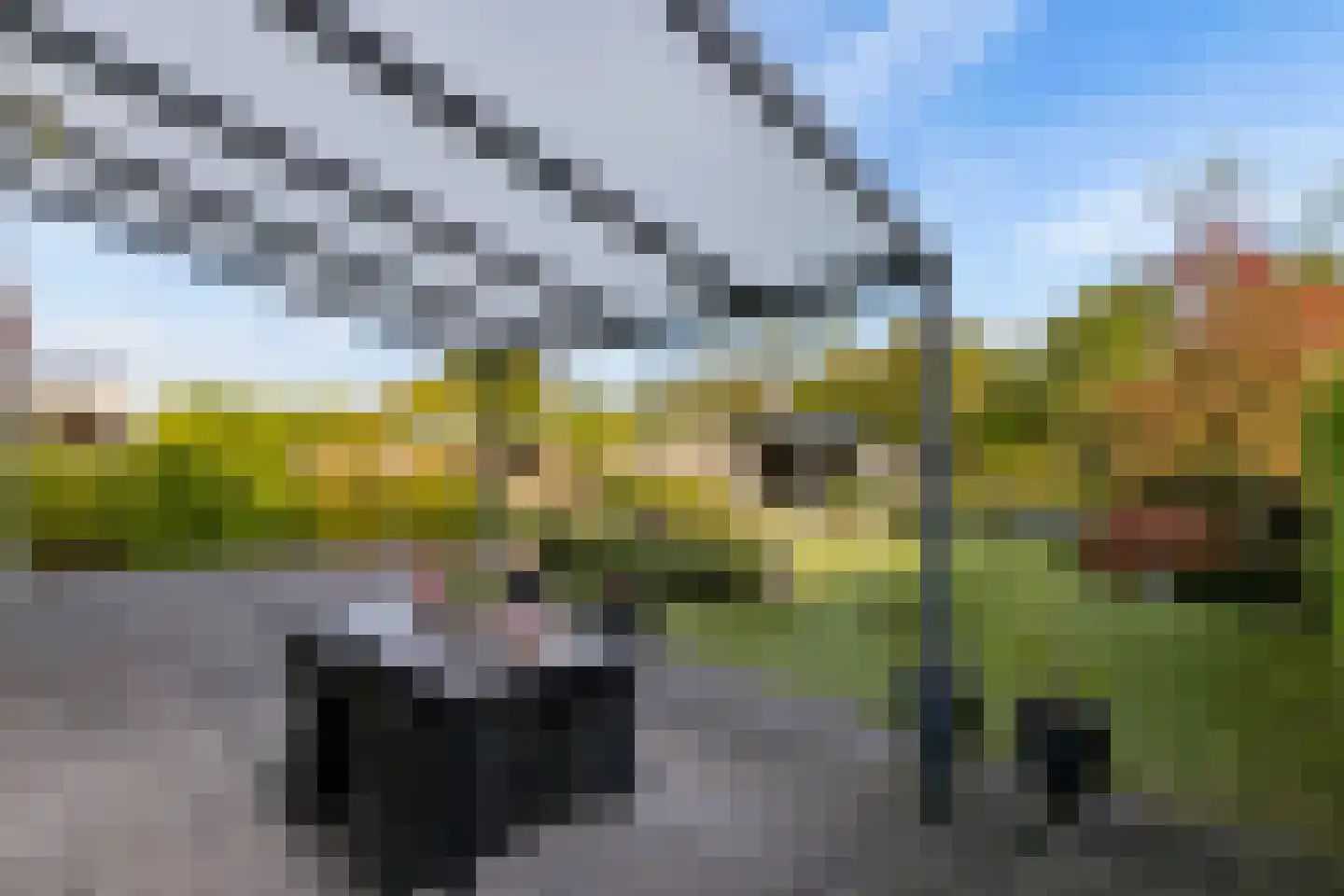 Haverlij 24 Lelystad thumbnail 30