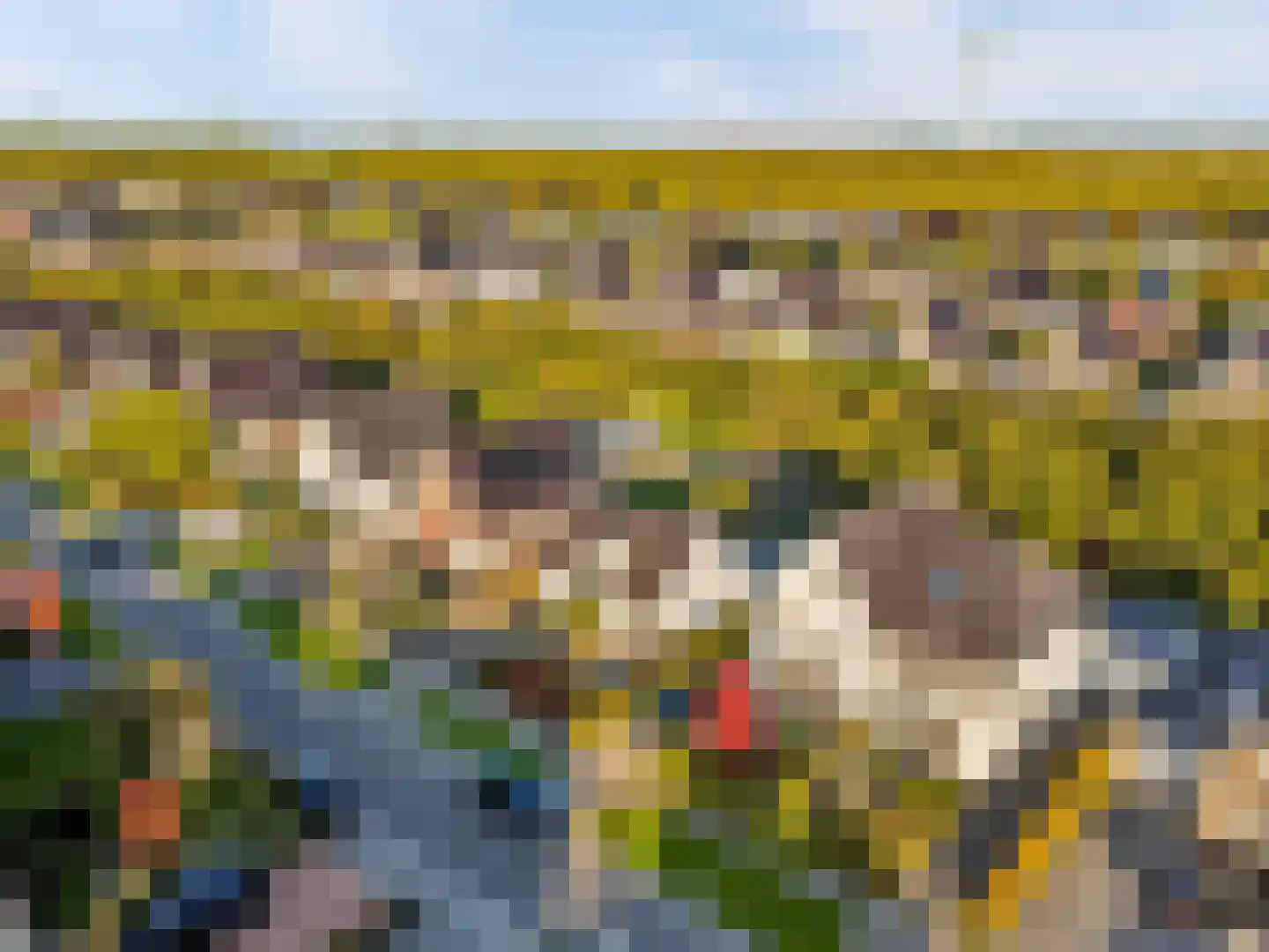 Haverlij 24 Lelystad thumbnail 36