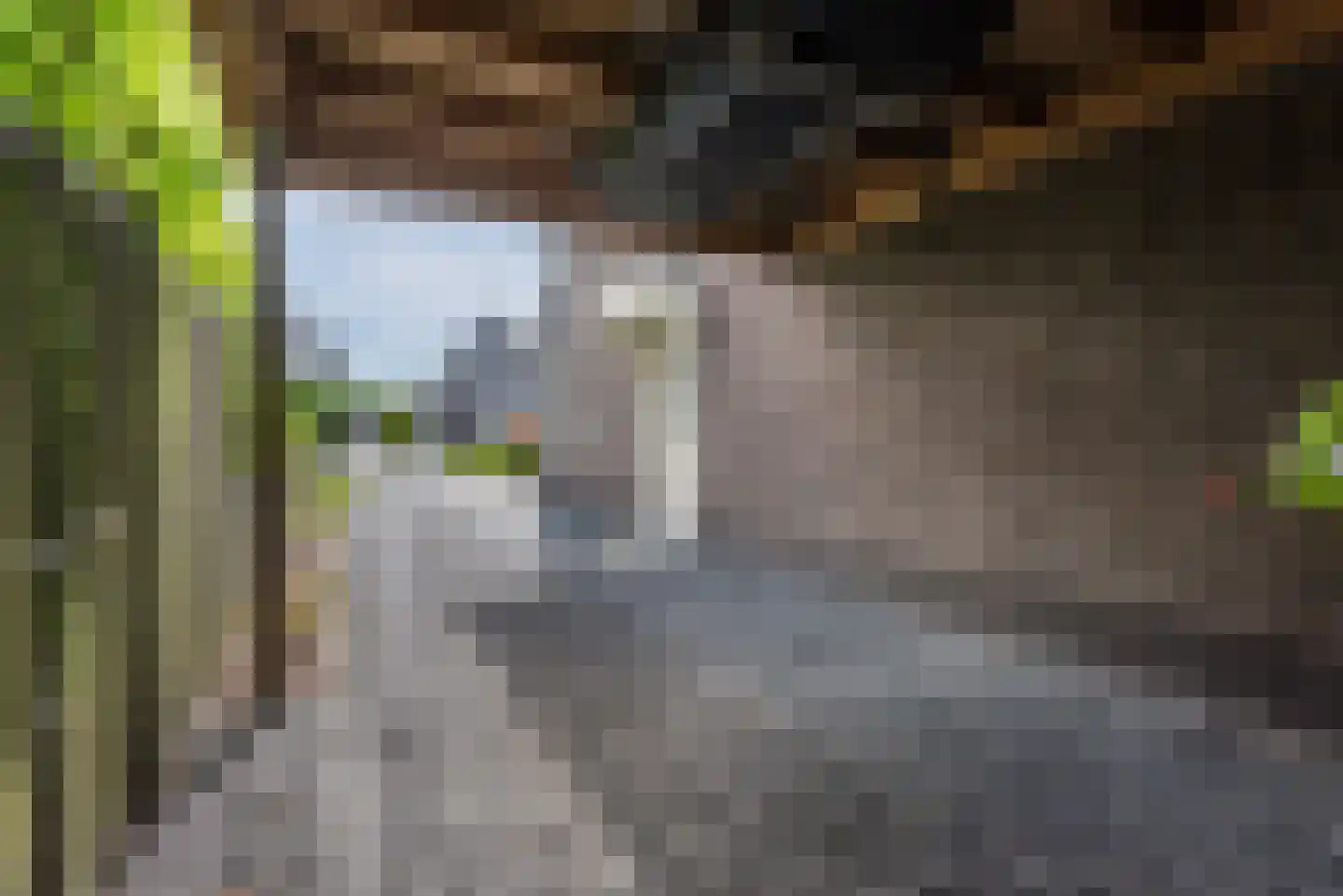 Haverlij 45 Lelystad thumbnail 7