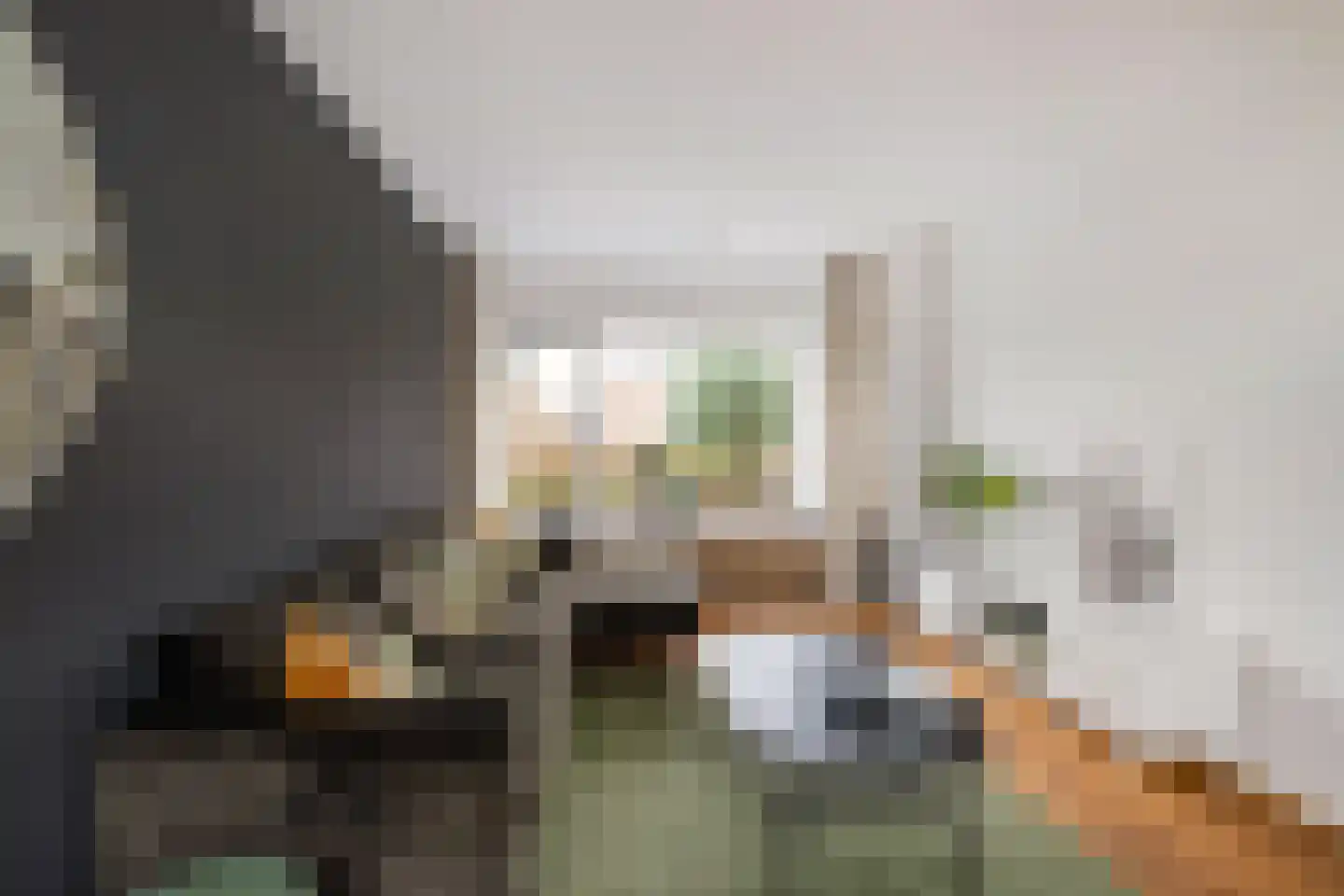 Haverplein 10 Groningen thumbnail 10