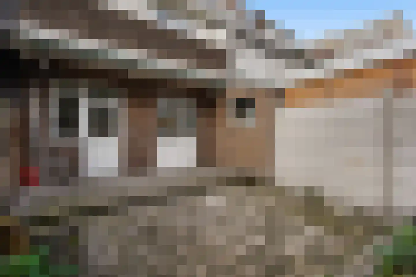 Haverschmidtstraat 14 Den Haag thumbnail 16