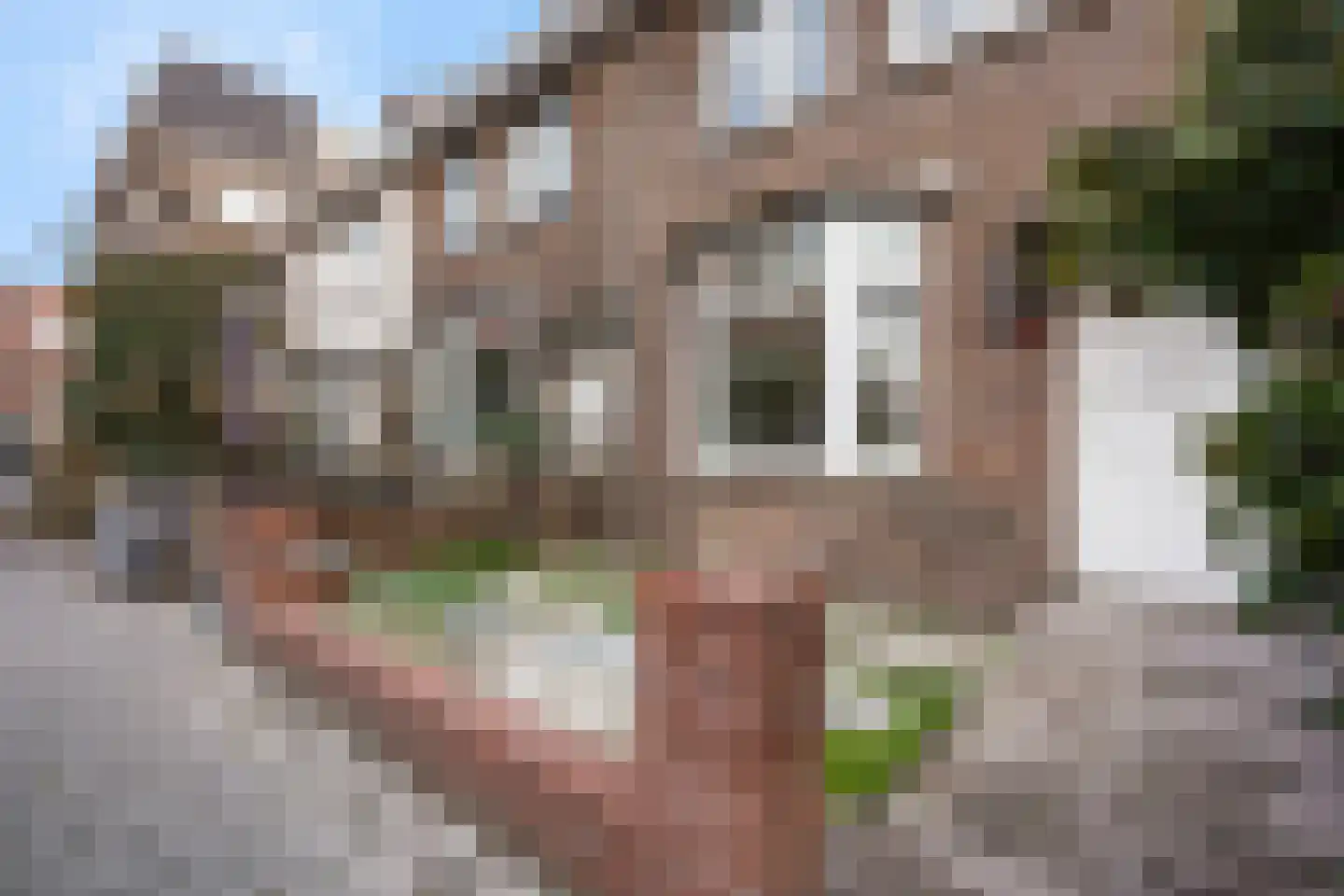 Haverschmidtstraat 14 Den Haag thumbnail 32