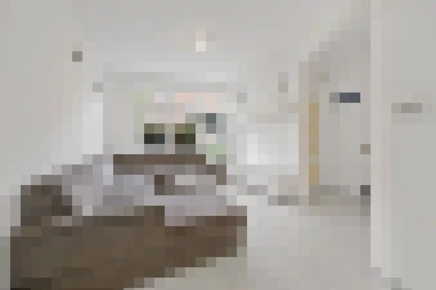 Haverschmidtstraat 15 Den Haag thumbnail 17