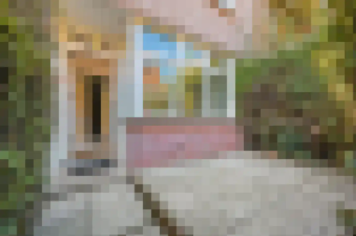 Haverschmidtstraat 15 Den Haag thumbnail 40