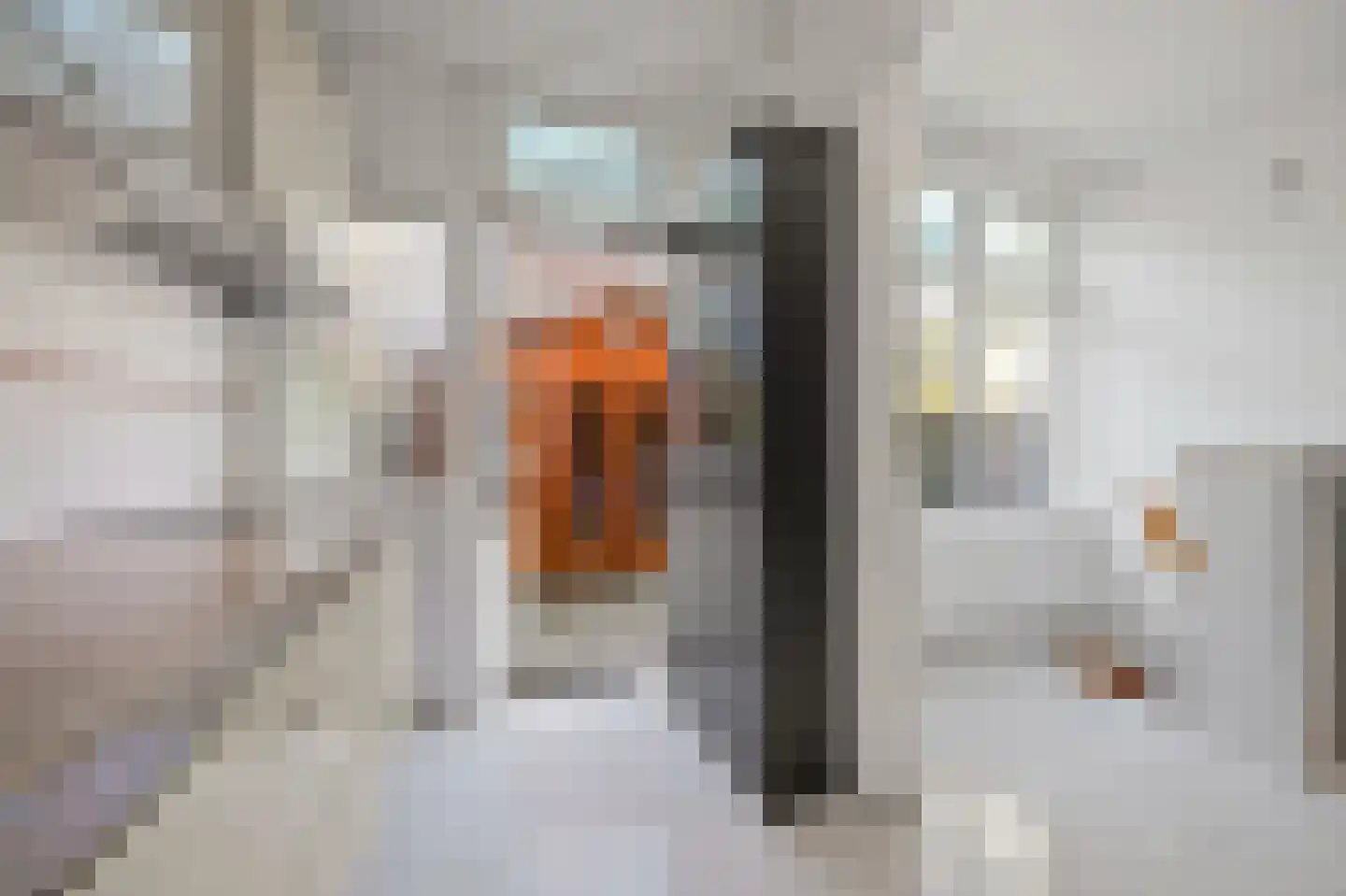 Haverschmidtstraat 15 Den Haag thumbnail 6