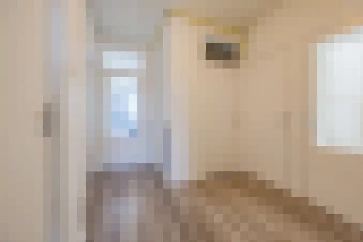 Haverschmidtstraat 48 Den Haag thumbnail 4