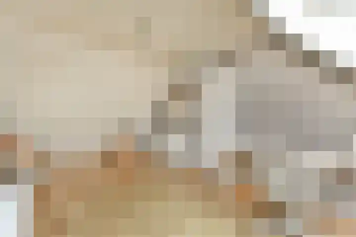 Haverstede 15 Diemen thumbnail 24