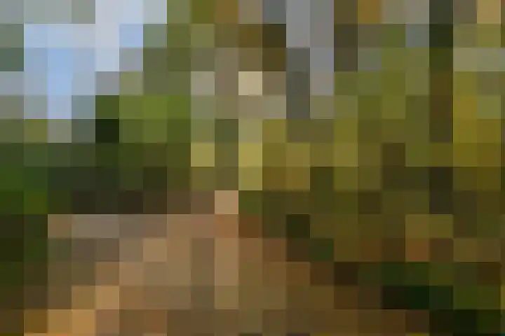 Haverstede 15 Diemen thumbnail 30